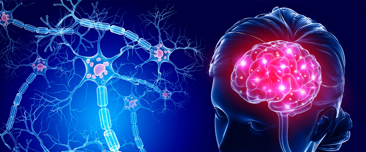 neurology-img