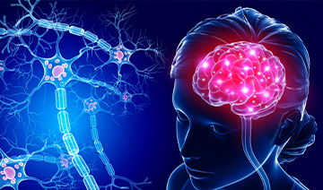 neuromodulation